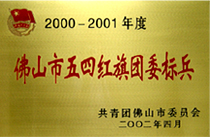 佛山市五四红旗团委标兵